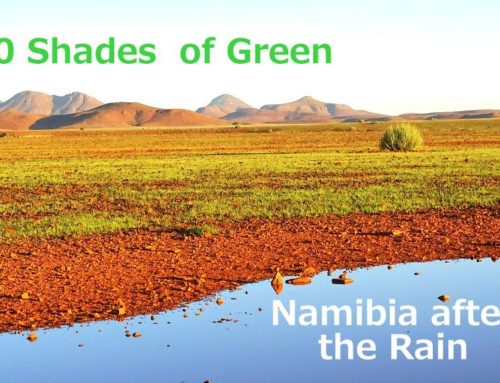 Namibia After the Rain