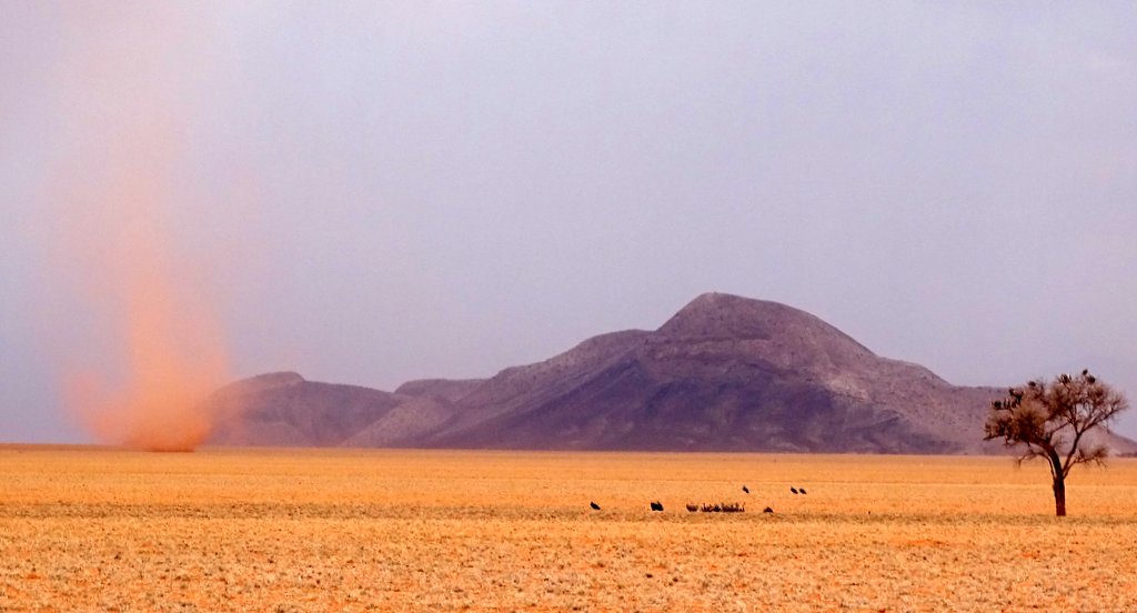 Sand swirl and vultures in the pre-Namib, Namibia