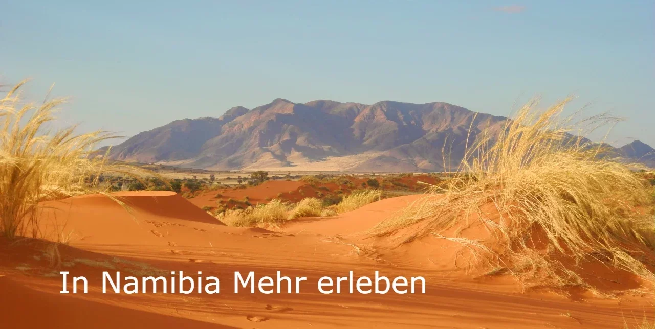 (c) Mehr-namibia.com