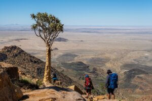 Wanderer mit grandioser Aussicht vom Brandberg