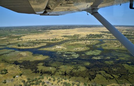Flug ins Okavango Delta