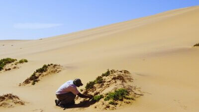 Guide auf der Living Desert Tour