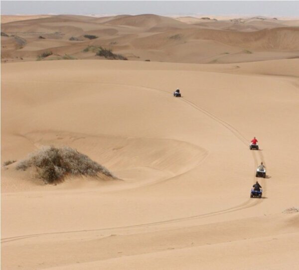 Quad Bikes vor Wüstenpanorama