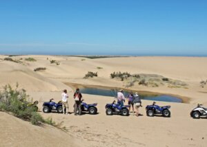 Quad Bikes im Wüstensand bei einer Quelle