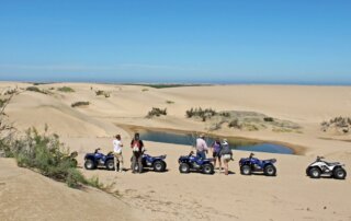 Quad Bikes im Wüstensand bei einer Quelle