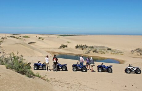 Quad Bikes im Wüstensand bei einer Quelle