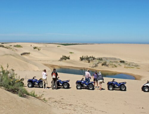 Besondere Dünen-Tour in Namibia – auf dem Quad Bike zum Kuiseb Delta