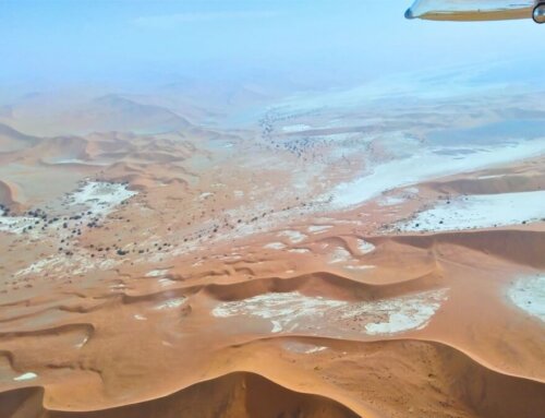 Exklusive Premium Flugsafari in Namibia: Spread your Wings (9 Tage)